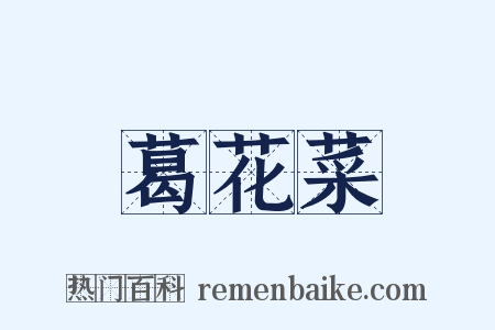 葛花菜是什么意思的图片